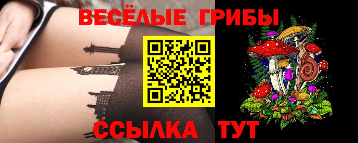 Галлюциногенные грибы MAGIC MUSHROOMS  Вход с VPN  Славгород 