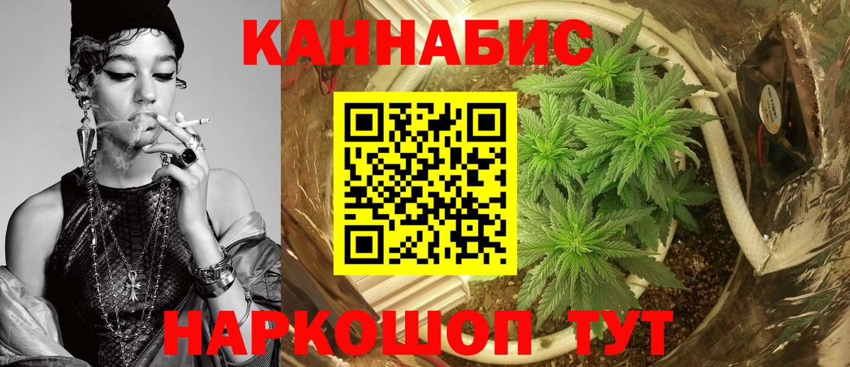 Шишки марихуана MAZAR  Конопля MAZAR  Каннабис SATIVA & INDICA  Канабис семена  Вход с VPN  Славгород 